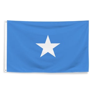 Somalian National Flags Polyester with Iron Grommets 100% Somalia Flag