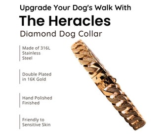 Diamond Dog Collar: 16k Gold Plated Stainless Steel Chain