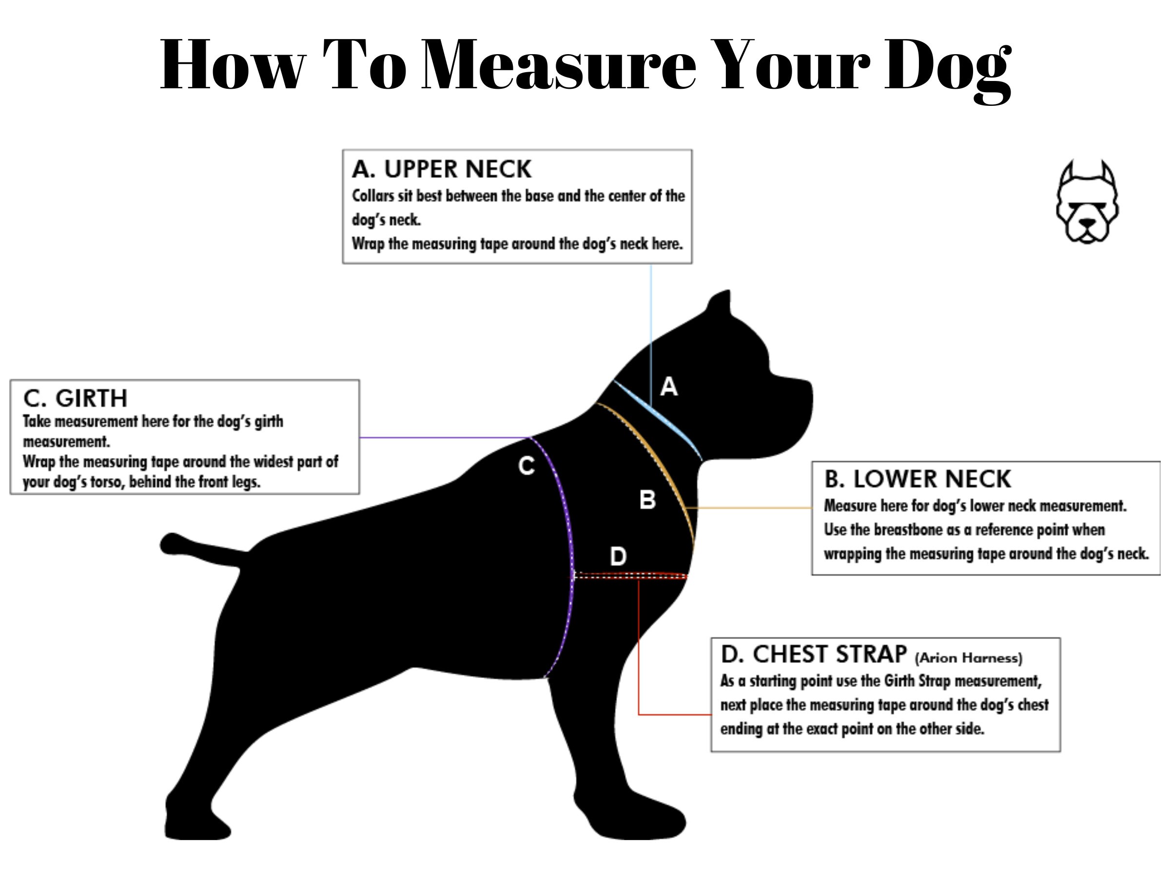 Cuban Link Training Dog Chain Collar Pitbull Frenchie Etsy