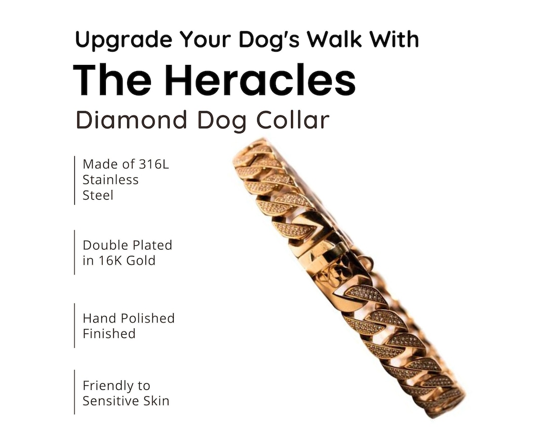 Diamond, Gold Dog Link Chain Collar Designer Dog Collar for Male Dogs Custom Dog Chain French