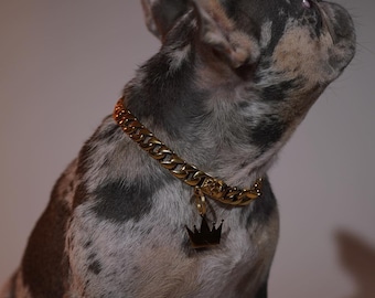 Wide Cuban Link Gold Dog Chain, Collar - Bling Accessories for Frenchie, English Bulldog, Pitbull  - Pet Collar Birthday Gift - Dog Dad Gift