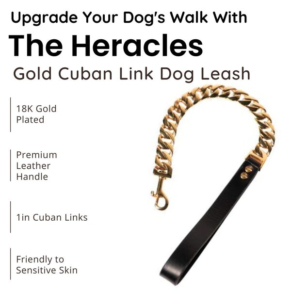 18K Gold Plated Luxury Design Dog Leash Chain With Leather Handle for Medium, Large Dogs -  French Bulldog, Pitbull Dog Dad Acceesories Gift