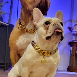 23mm Custom Engraved Name Cuban Link Gold Dog Chain - Designer Dog Collar for Pitbull, French Bulldog, Luxury Dog Accessories for Medium Dog