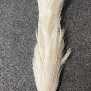 Horse tail,African horse tail, Nigerian horse tail,horse tail for traditional dance,Bridal horse tail accessory, horse tail image 2