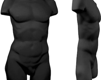 Maniqui Para Ropa Male Mannequin Torso - Black Plastic Display Form For Clothing Sizes S-M Dress Form