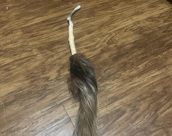 African horse tail