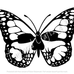 Butterfly Skull