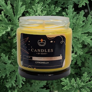 Citronella Scented Candle: All-Natural Soy Wax, Lemon Peel Top Note