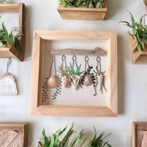 Coastal Driftwood Seashell Art, Watercolor Botanical in Wood Box Frame