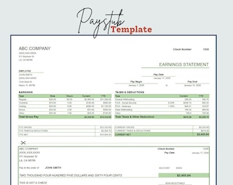 Paystub Template, Earnings Statement, Paystub Excel & Google Sheets Template, Payroll, Payslip Template, Employee Paystub, Small Business
