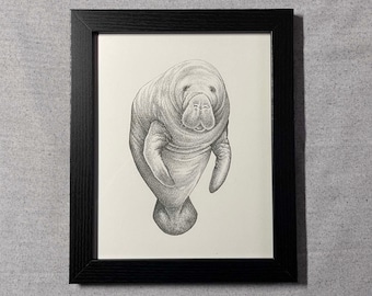 Florida Manatee Art Print