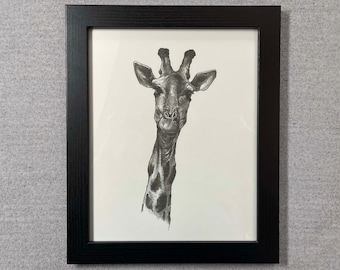 Giraffe Drawing | Wildlife Portrait Art