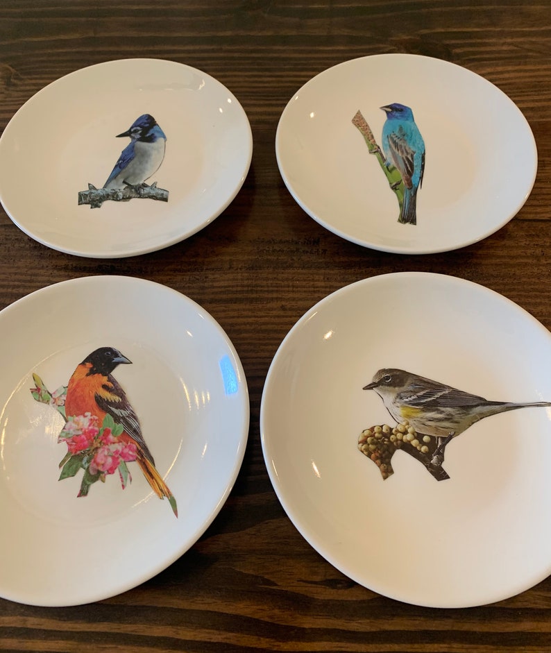 Decorative Bird Plates Mixed and Matched Bird Wall Plates Etsy