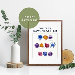 Cells of the Immune System Poster, Watercolor Print Download, Immunology Art, Biology Medical, Human Wall Decor Printable