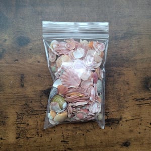 Op de afbeelding: Een doorzichtig, hersluitbaar plastic zakje gevuld met een verzameling kleine, geassorteerde schelpen in diverse tinten roze, wit en beige. De schelpen variëren in vorm en textuur, waaronder waaiervormige, spiraalvormige en gladde variëteiten.
