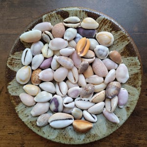 May include: A collection of small, smooth cowrie shells in various shades of white, cream, tan, brown, and purple, piled together on a round, speckled ceramic plate with a mottled brown and beige glaze finish and a textured, uneven rim.