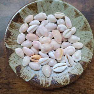 May include: A collection of small, smooth, off-white and light tan cowrie shells piled inside a round, shallow ceramic dish. The dish features a mottled, earthy glaze with brown and beige tones radiating from the centre towards the scalloped rim.