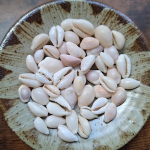 May include: A collection of small, smooth, white and pale pink cowrie shells piled together in a round, shallow ceramic dish with a mottled brown and cream glaze. The shells feature characteristic elongated openings with fine, tooth-like ridges.