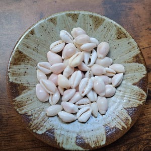May include: A collection of small, smooth, off-white cowrie shells piled together in a shallow, round ceramic bowl. The bowl features a speckled, light beige center with a dark brown, textured rim and radiating brushstroke patterns.