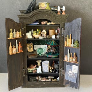 May include: A miniature dark wooden cabinet with open doors, filled with tiny apothecary bottles, a carousel, a crystal ball, books, a skull print, and a black bird figurine on top. The shelves contain various small curiosities and detailed objects.