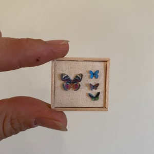 Butterfly Specimen - Calico Butterfly Miniature