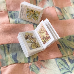 Puede incluir: Dos libros en miniatura con páginas ilustradas. El libro de la izquierda tiene el título "Flower Fairies by Cicely Mary Barker" en la portada. El libro de la derecha tiene una ilustración de hada en la página abierta.