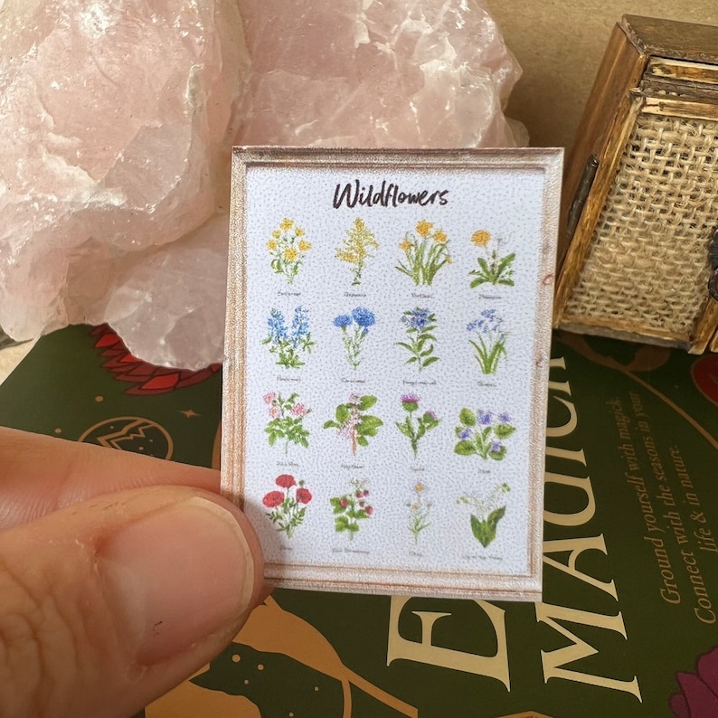 May include: A framed print with a white background and a title that reads "Wildflowers". The print features illustrations of 16 different wildflowers with their names listed below each illustration.