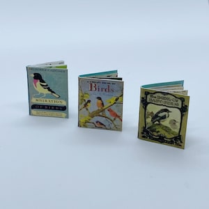 Puede incluir: Tres libros en miniatura sobre pájaros. El primer libro es azul y blanco con el título "Migration of Birds" y una ilustración de un pájaro en blanco y negro. El segundo libro es azul y verde con el título "A Child's Book of Birds" y una ilustración de un pájaro colorido. El tercer libro es verde y blanco con el título "The Book of Many Birds" y una ilustración de un pájaro en blanco y negro.