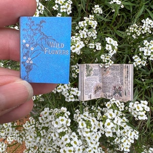 May include: A miniature blue book with the words "Wild Flowers" and floral illustrations. The book is open, revealing detailed printed pages. The background features white flowers and green foliage.