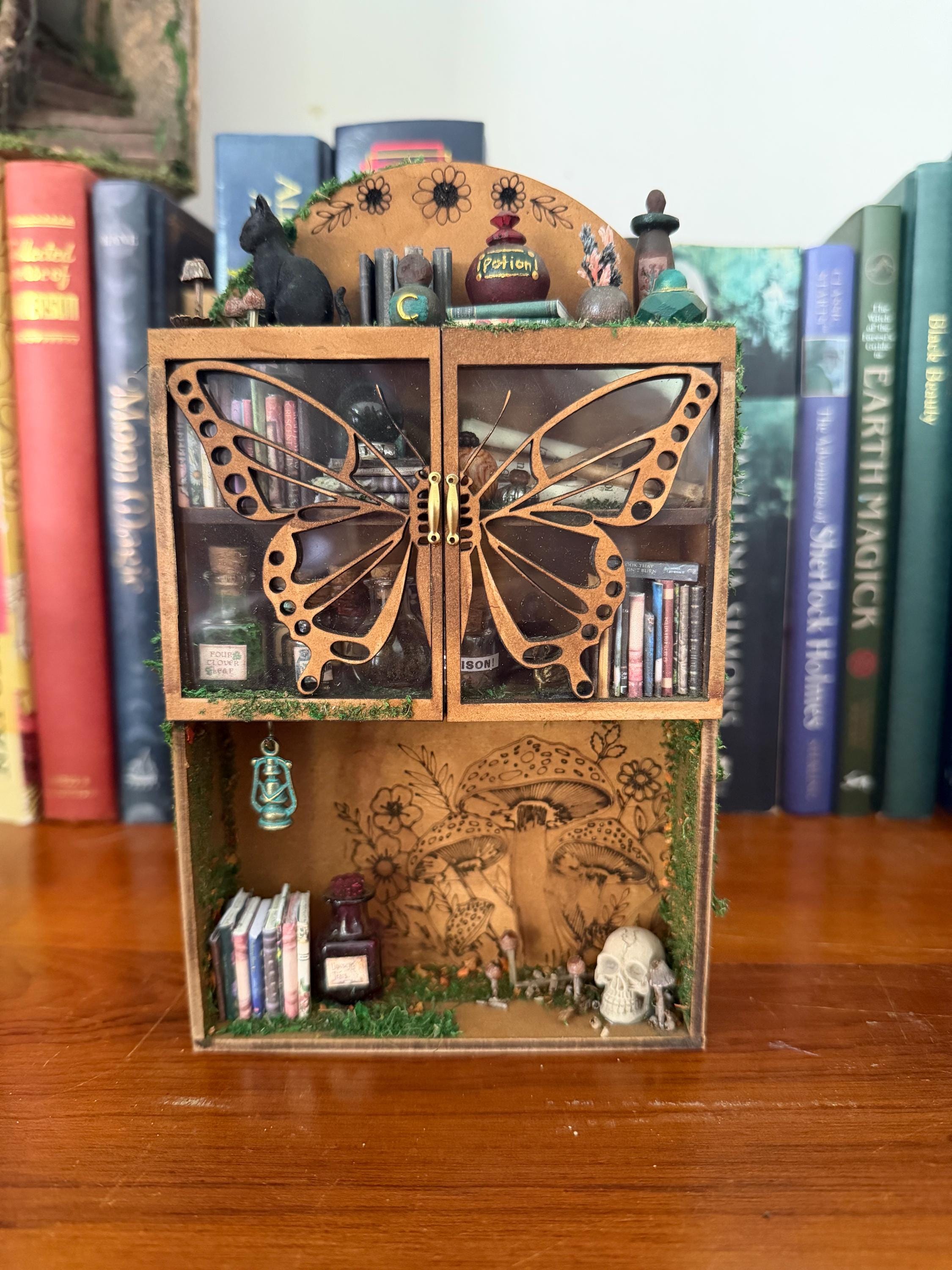 Meuble de curiosité papillon - Meubles miniatures