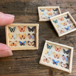 Framed butterfly art  - Dollhouse Miniature