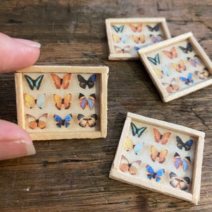 Gerahmte Schmetterling Kunst - Puppenhaus Miniatur