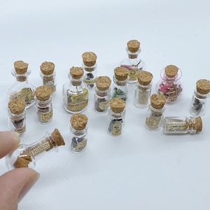 Frascos de boticario - Frascos de especímenes en miniatura Miniaturas de casa de muñecas