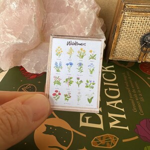 May include: A framed print with a white background and the word "Wildflowers" at the top. The print features a grid of 18 different wildflowers, each with a name underneath.