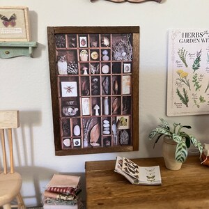 Op de afbeelding: Een ingelijste print van een vintage houten lade met verschillende natuurlijke items, waaronder een bij, paddenstoelen en stenen. De lade is verdeeld in kleine vakjes, elk met een ander object. De print is in een bruin frame en hangt aan een witte muur.