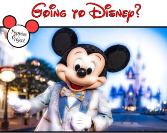 Personalised Video Message from Mickey Mouse - Reveal your Magical Trip