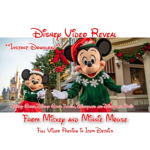 ミッキーとミニー - あなたの魔法の旅を公開 - クリスマス版 *ワールド