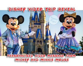 Mickey and Minnie Mouse Personalised Surprise Video Message (Version 1) - Reveal your Magical Trip