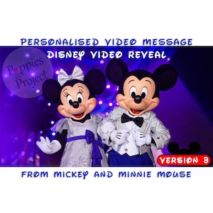 Personalised Mickey and Minnie Surprise Video Message - Reveal your Magical Trip (Version 3)
