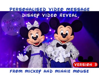 Personalised Mickey and Minnie Surprise Video Message - Reveal your Magical Trip (Version 3)