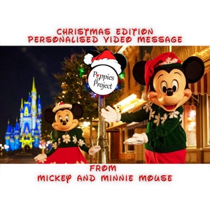 Personalised Mickey and Minnie Surprise Video Message - Reveal your Magical Trip (Christmas Edition)