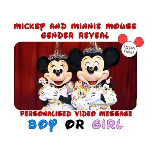 Mickey and Minnie Mouse - Gender Reveal (Personalised Video Message)