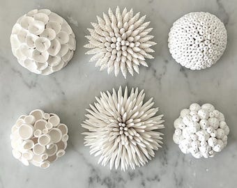 Coastal Wall Sculpture, White Corals Wall Art, Hand Sculpted Organic Sea Decor