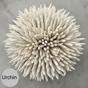 May include: A white ceramic sculpture in the shape of a sea urchin. The sculpture has a central cluster of small, rounded elements surrounded by numerous, elongated, pointed spikes. The word "Urchin" is in a gray circle in the lower left.