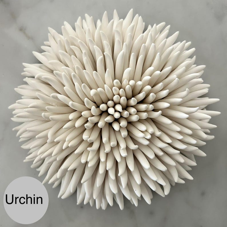 May include: A white ceramic sculpture in the shape of a sea urchin. The sculpture has a central cluster of small, rounded elements surrounded by numerous, elongated, pointed spikes. The word "Urchin" is in a gray circle in the lower left.
