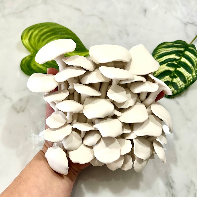 Mushroom Sculpture Mushrooms Wall Art Mushrooms Sculpture Etsy