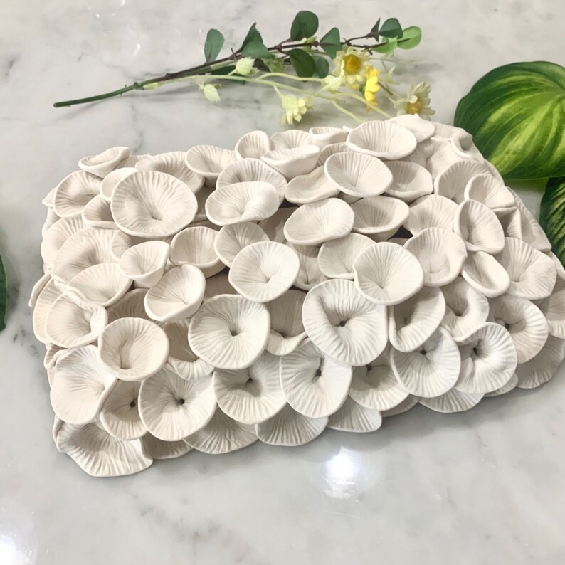 3D Wall Art Sea Coral Wall Sculpture Beach Wall Decor White Etsy