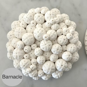 May include: A cluster of white, round, barnacle-shaped objects with small holes, arranged in a circular pattern. The objects vary in size, creating a textured, organic appearance. The word "Barnacle" is printed in black text at the bottom left.