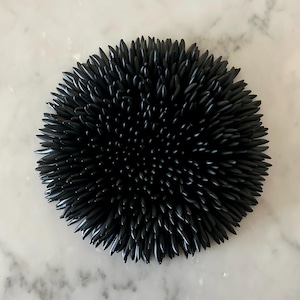 3D Wall Art Urchin, Black Wall Sculpture, Beach Themed Wall Art, Coastal Wall Decor, Organic Sea Sculpture Minimalist Modern,Art House Gift.
