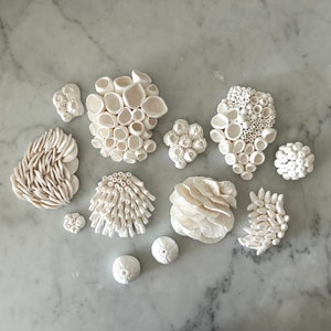 Wall Art Installation Corals, 3D Wall Art Costal, Sea Wall Sculpture, Beach Wall Decor, Ocean Inspired Minimalist Modern Housewarming Gift